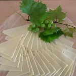 Wurzelrudis