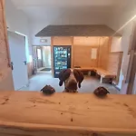 Hostel Wurzelrudis